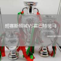 朗赛斯顿城VS霍巴特斑马