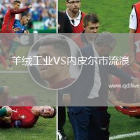 羊绒工业VS内皮尔市流浪