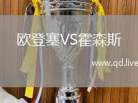 欧登塞VS霍森斯