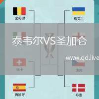 泰韦尔VS圣加仑