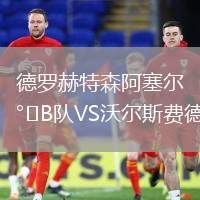 德罗赫特森阿塞尔B队VS沃尔斯费德