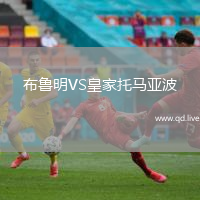 布鲁明VS皇家托马亚波