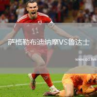 萨格勒布迪纳摩VS鲁达士