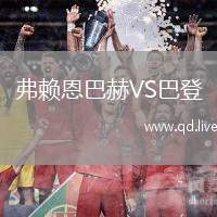 弗赖恩巴赫VS巴登