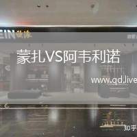 蒙扎VS阿韦利诺
