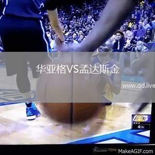 华亚格VS孟达斯金