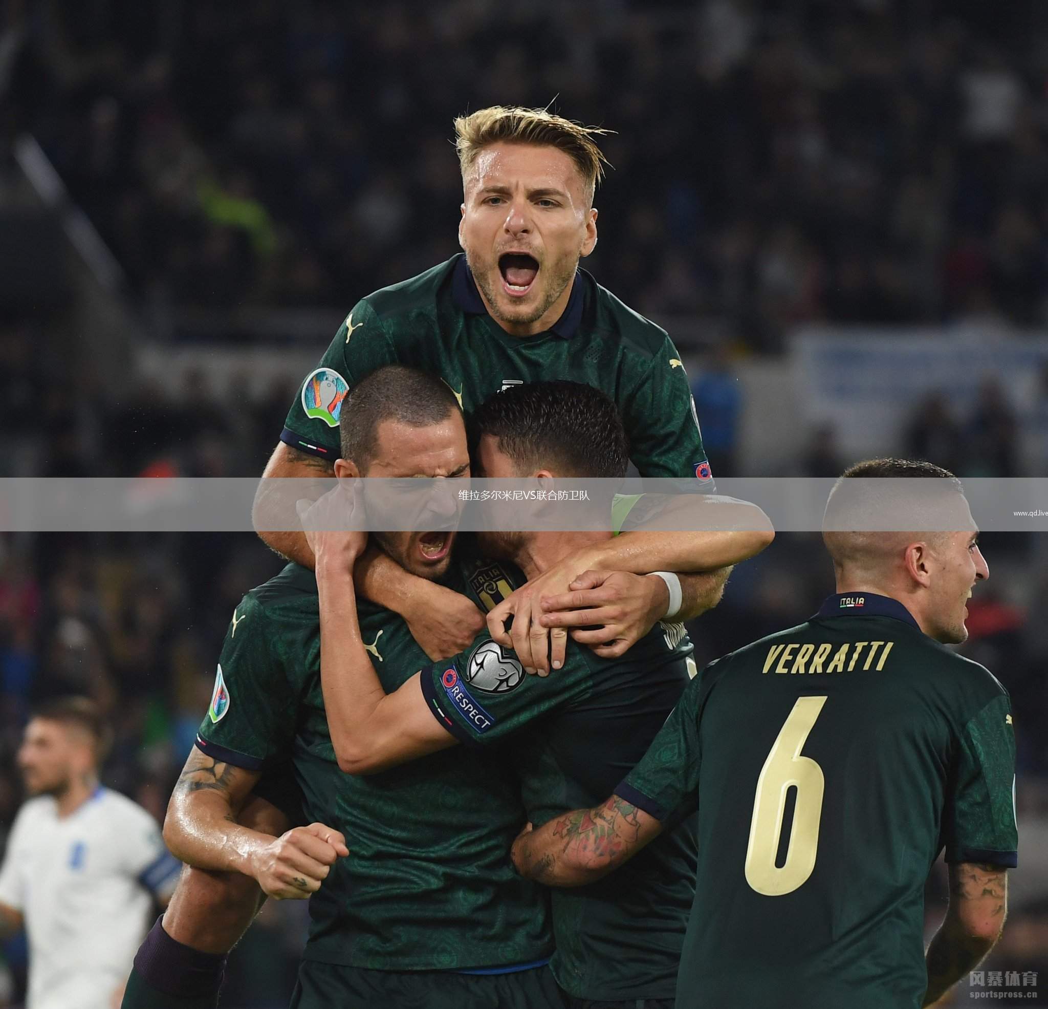 维拉多尔米尼VS联合防卫队