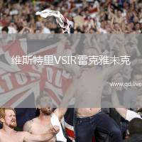 维斯特里VSIR雷克雅未克