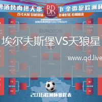 埃尔夫斯堡VS天狼星