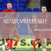 哈马比VS代格福什