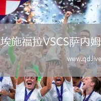 埃施福拉VSCS萨内姆
